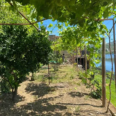 Country house Kintal Do Douro